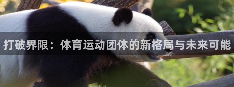 打破界限：体育运动团体的新格局与未来可能
